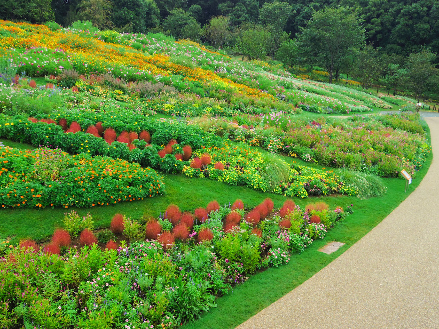 日本里山花园丨户田芳树风景计画-19