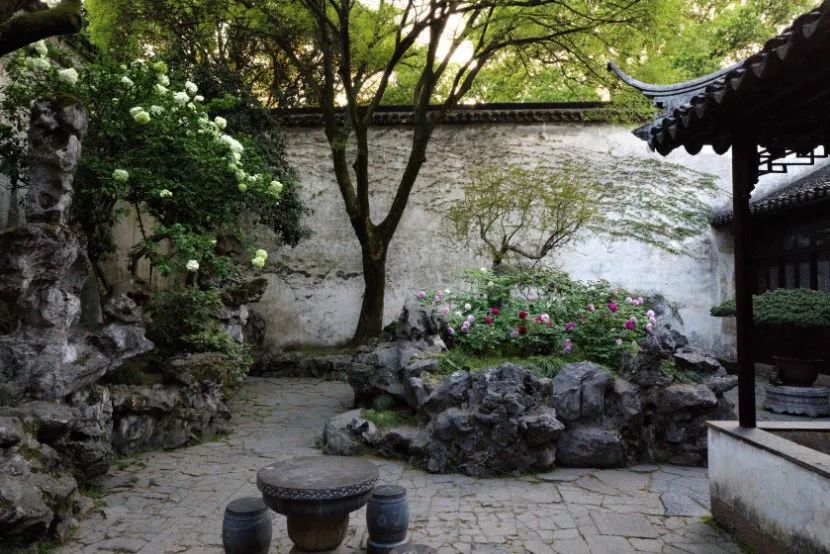 打卡留园，这样拍秒出大片！-19