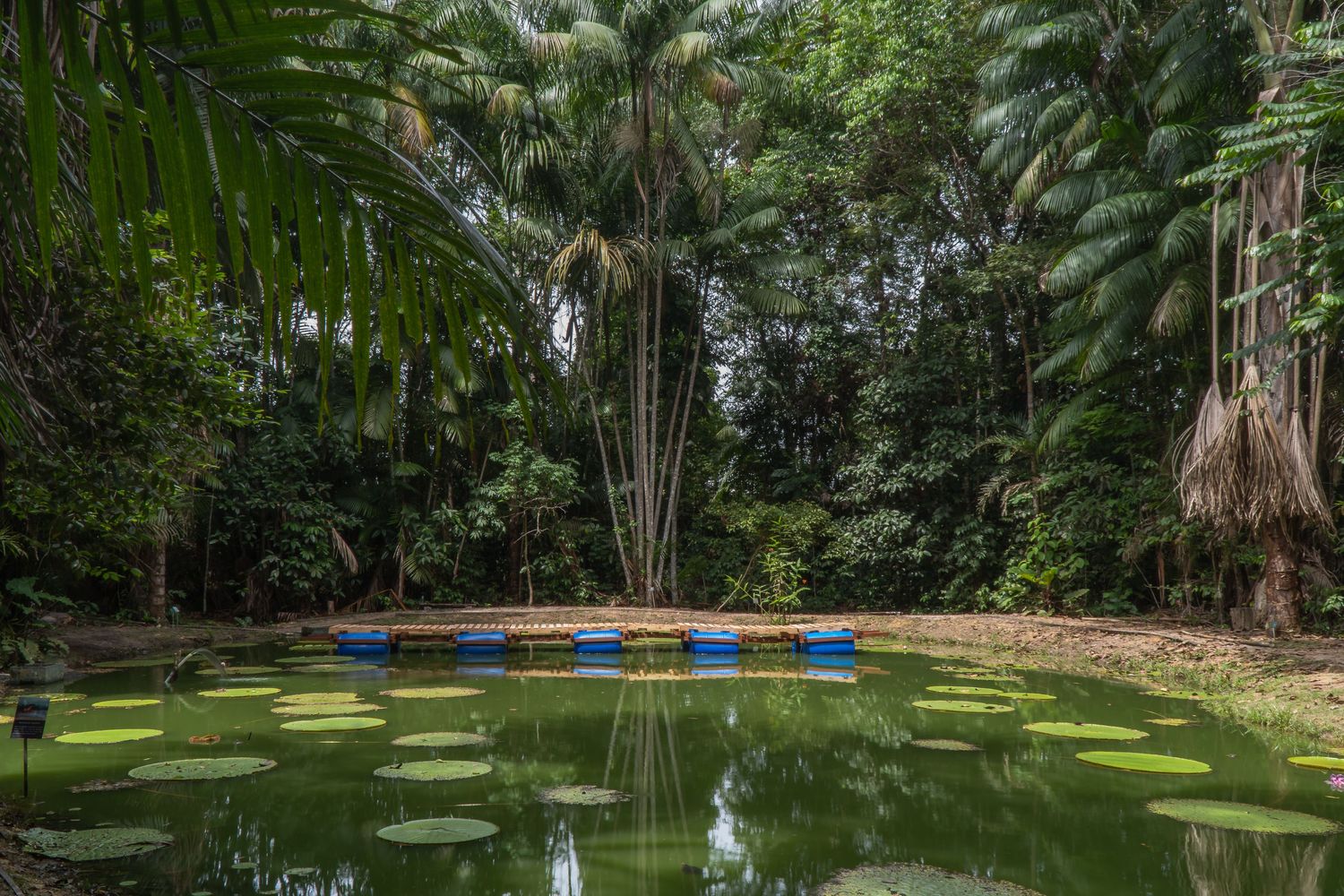 巴西玛瑙斯浮桥丨Colectivo Aqua Alta-30