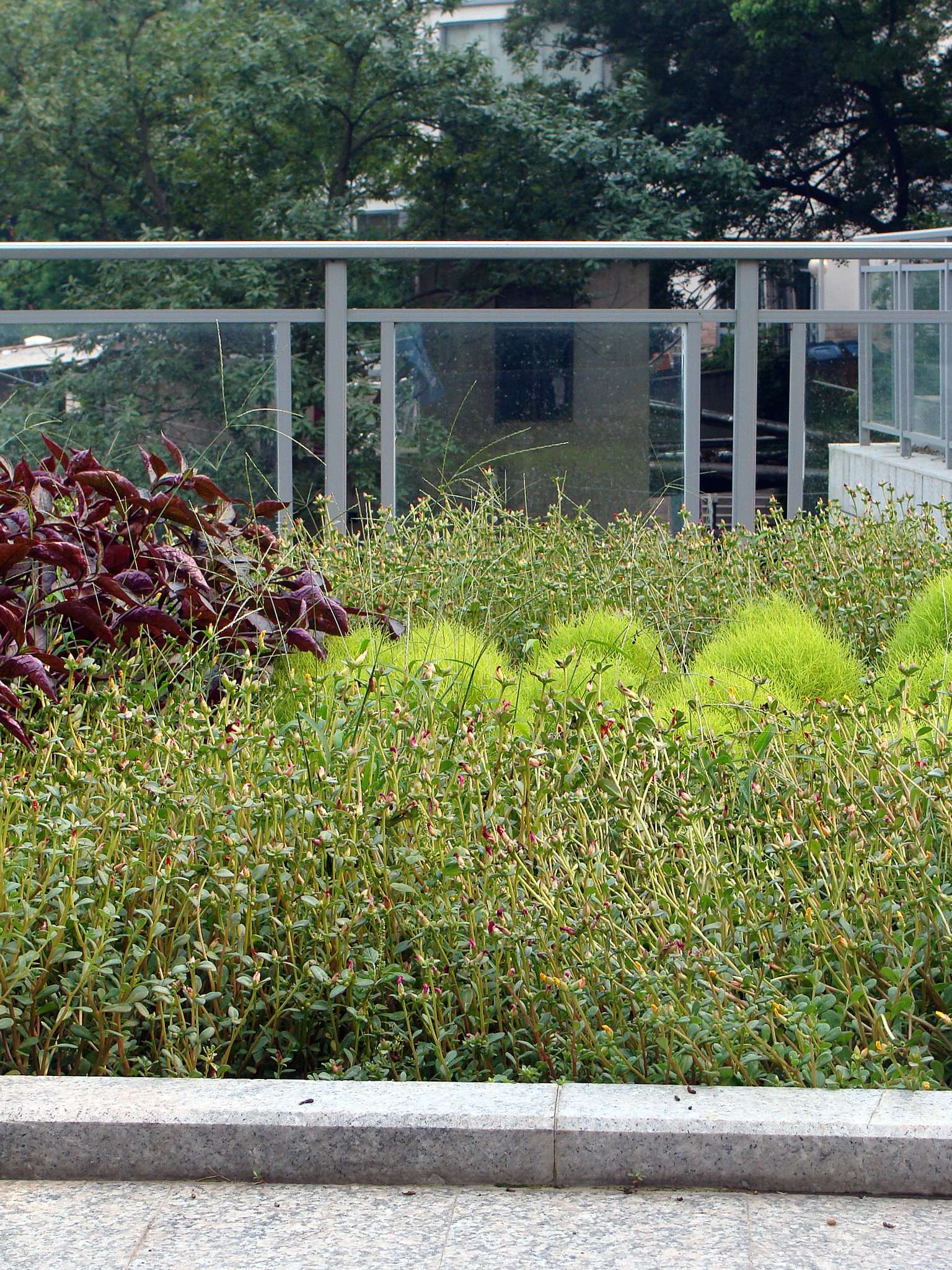 金螳螂  太湖干部疗养院-13