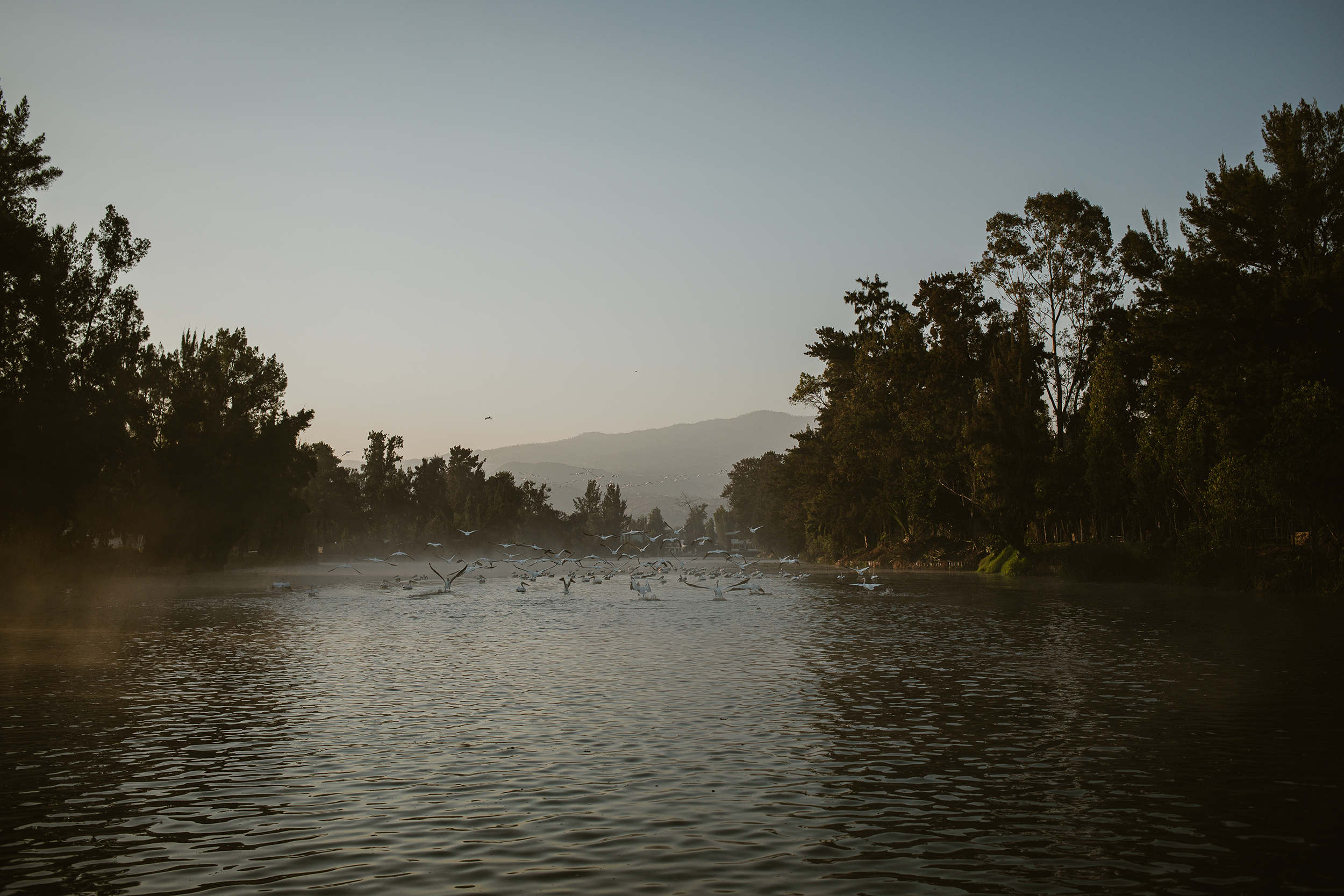 第 19 届威尼斯国际建筑双年展：墨西哥馆，探索古老农业系统的生态潜力-12