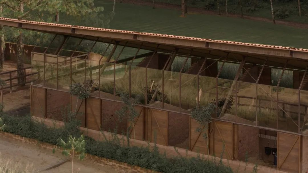 马术圣拉蒙丨墨西哥丨Módica Ledezma-15