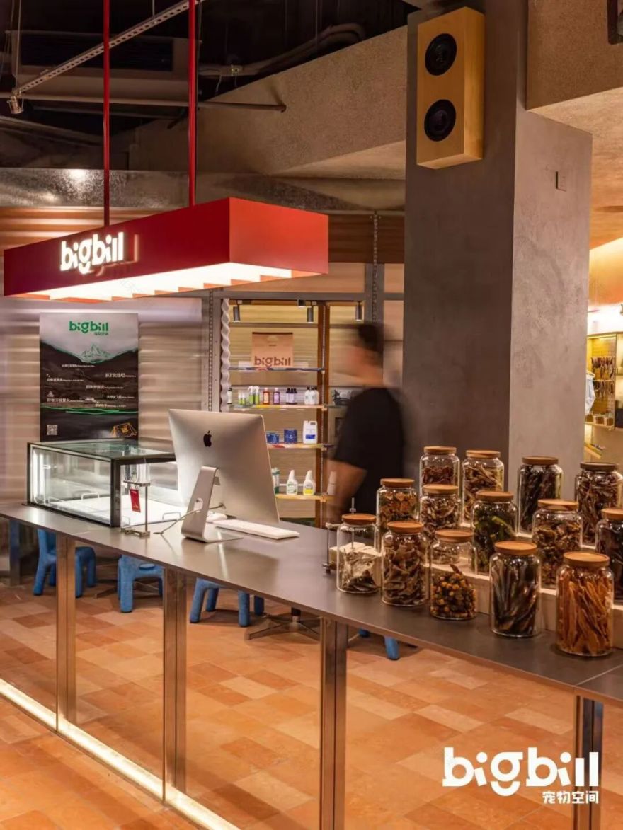 立衡中灯光实景xBIGBILL宠物店-0