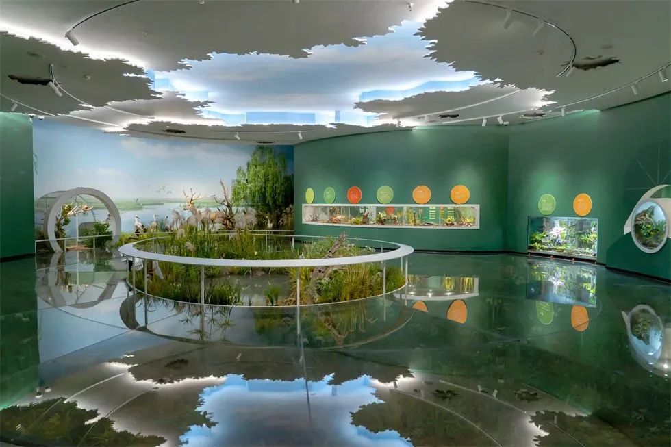 中国大运河博物馆展厅丨中国扬州丨苏州金螳螂文化发展股份有限公司-34