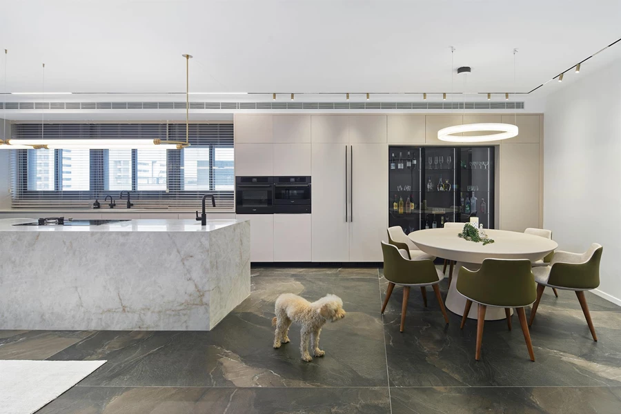 令人惊叹的顶层公寓  家居与装饰丨丹尼尔·米凯阿里-12