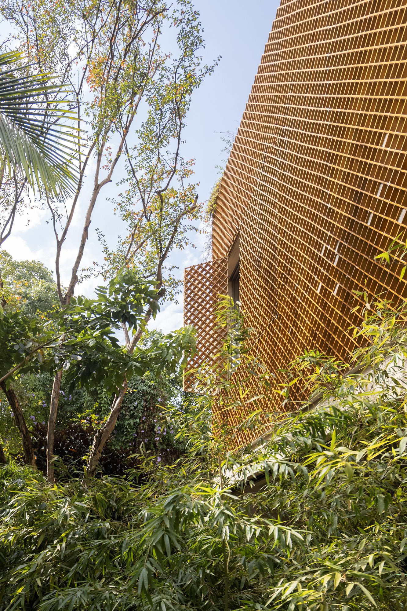 BD 之家丨巴西圣保罗丨Studio Arthur Casas-53