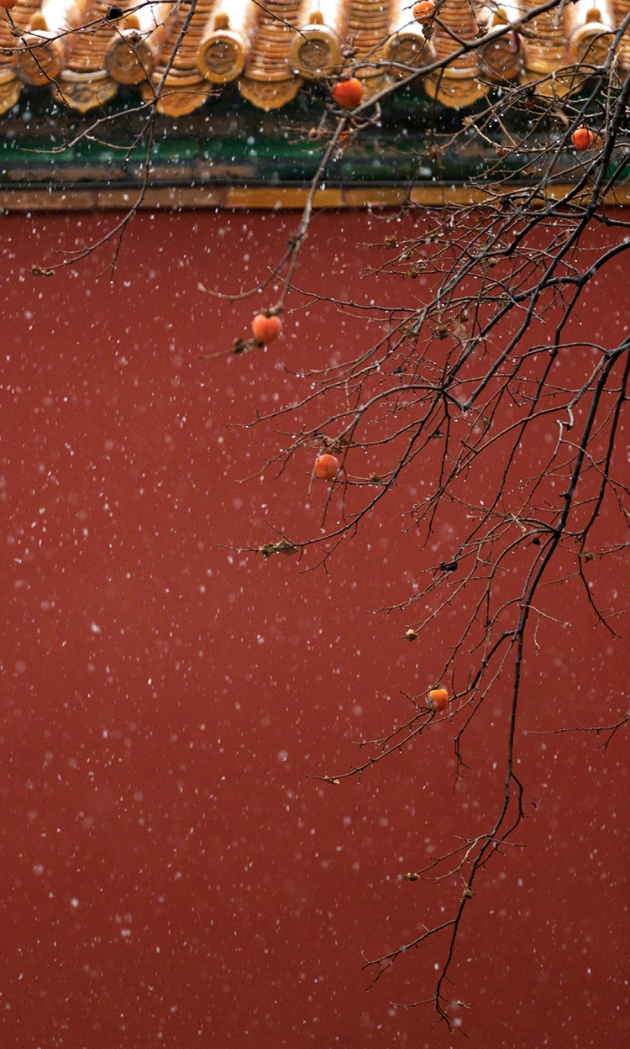 路劲御合院下叠样板间丨中国北京丨元禾大千-0