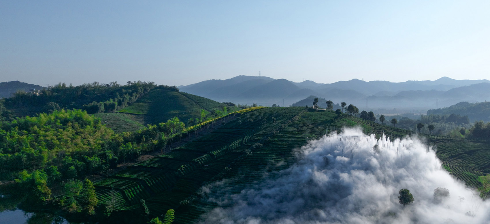 湖州望山茶亭丨中国湖州丨PLAT ASIA-7