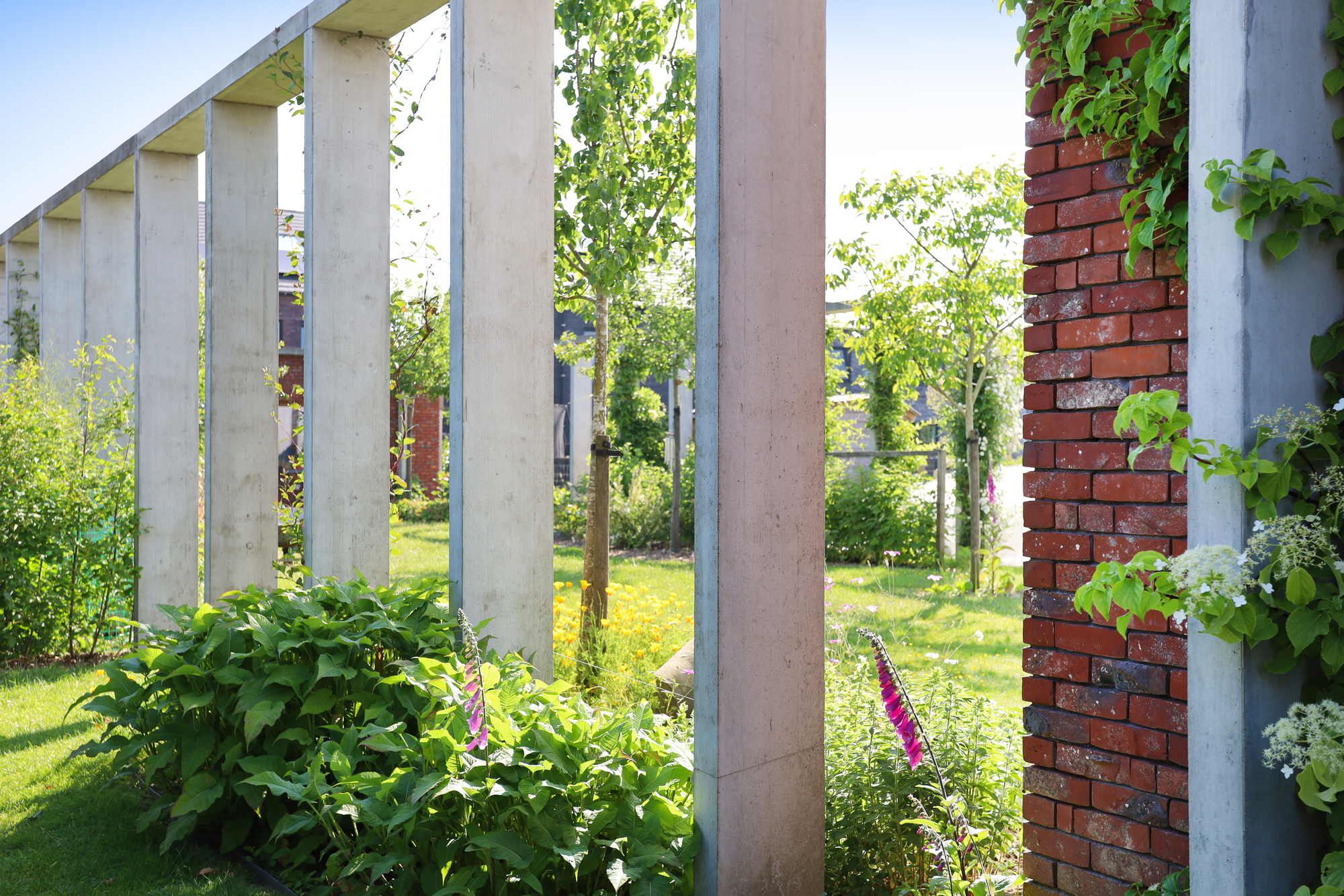 保罗和莫妮克之家丨比利时丨Atelier Vens Vanbelle-35