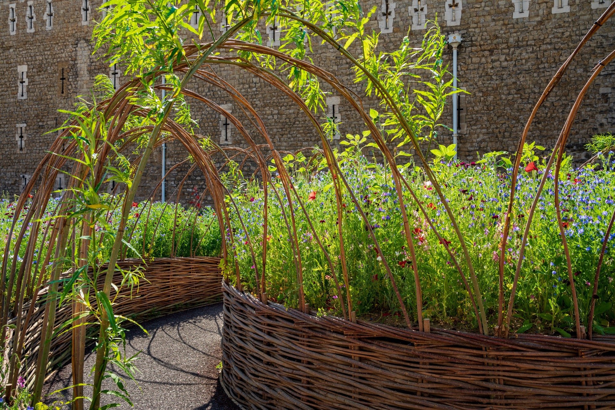 英国超级布鲁姆活动丨英国伦敦-16