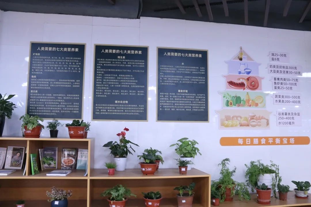 杭州知名老菜场一改旧貌多重升级，改造后惊现渔歌巷、缤纷亭、西子路！-104