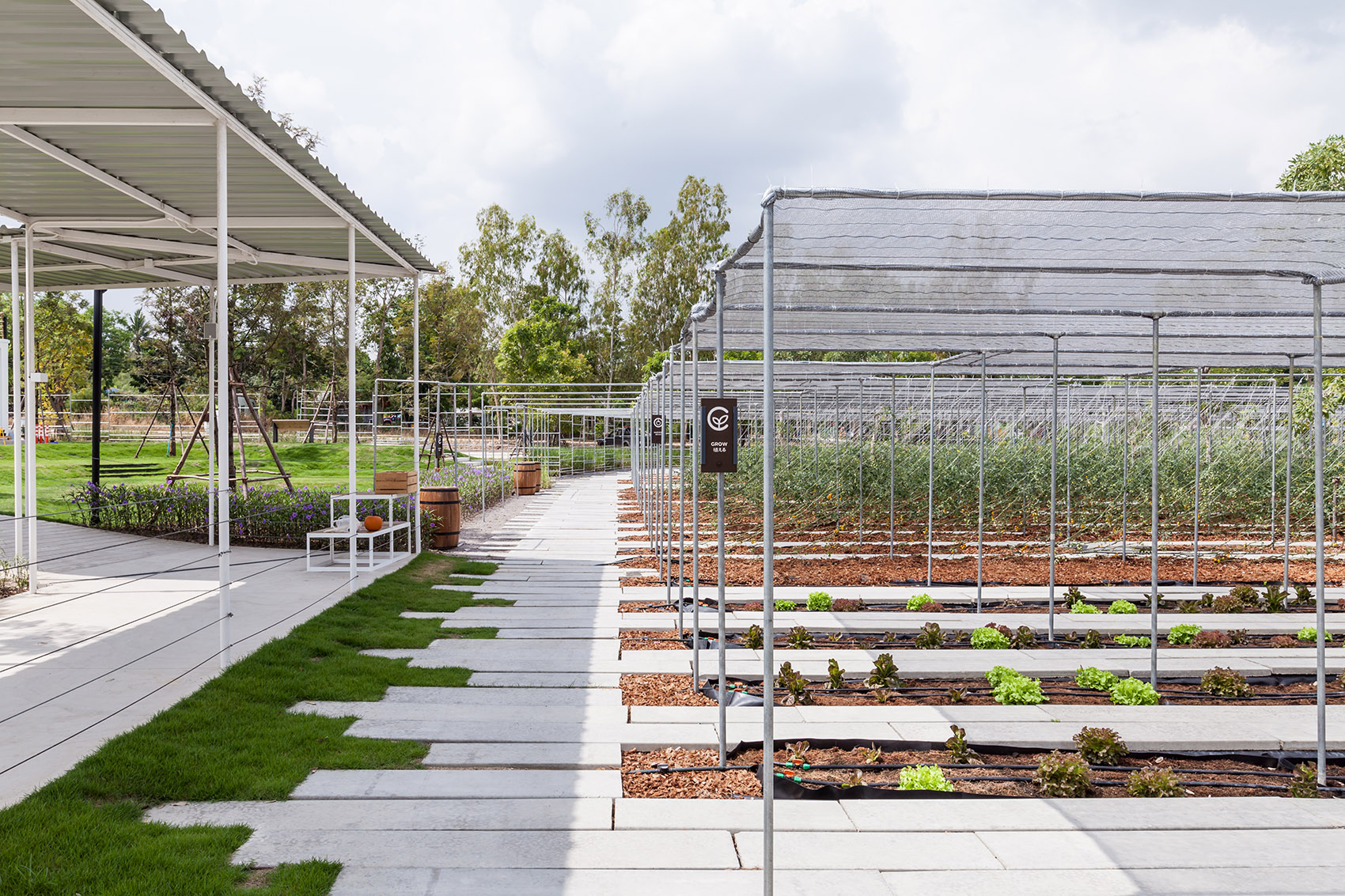 都市农场，泰国 / Integrated Field Co.,Ltd.-68