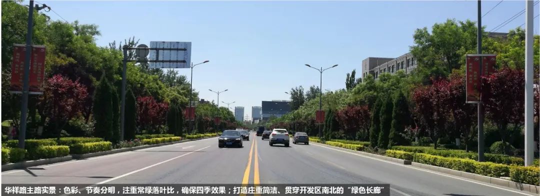 廊坊开发区道路景观综合改造提升设计项目丨中国廊坊丨北京市园林古建设计研究院·王显红工作室-67