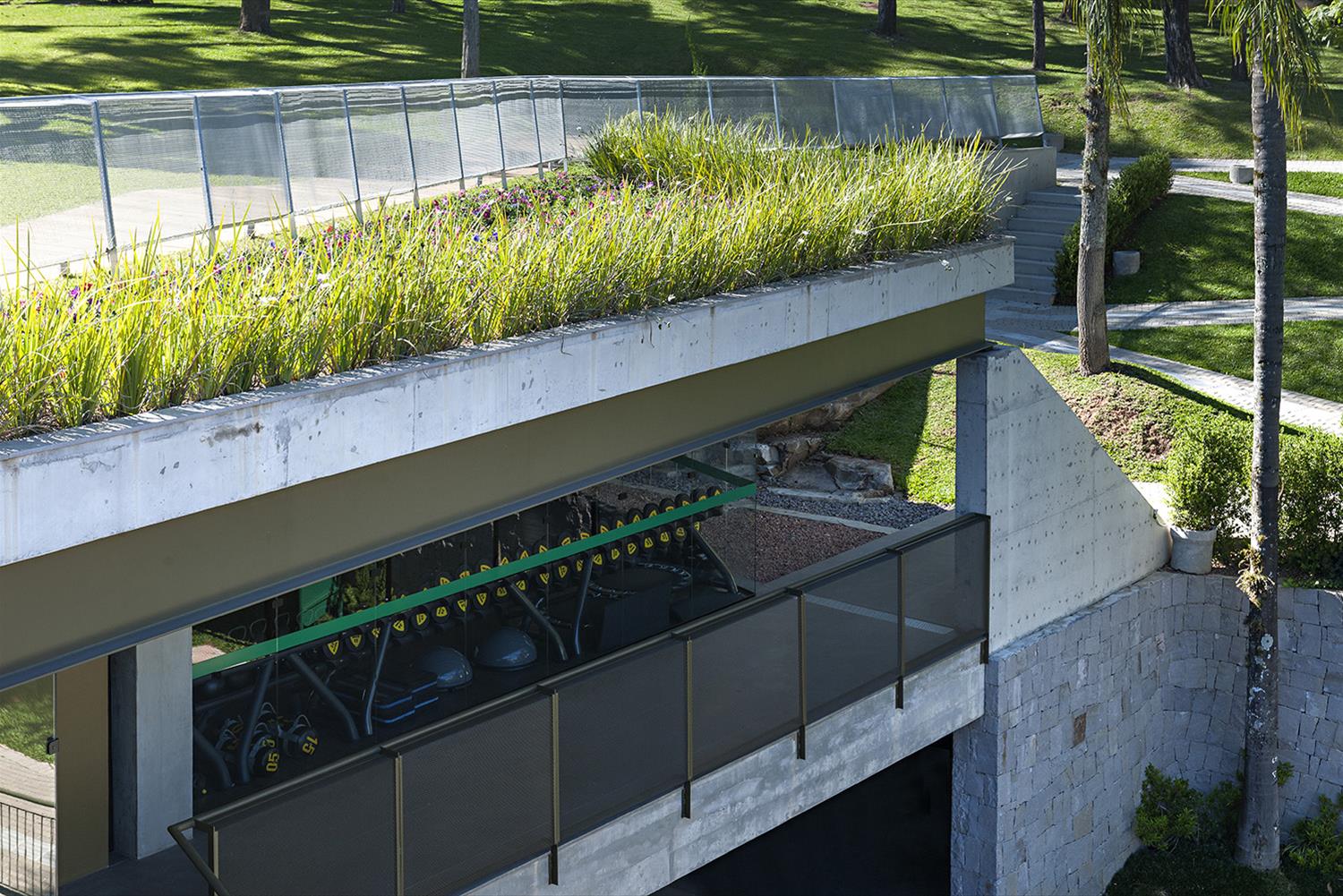 巴西绿色屋顶运动俱乐部-12