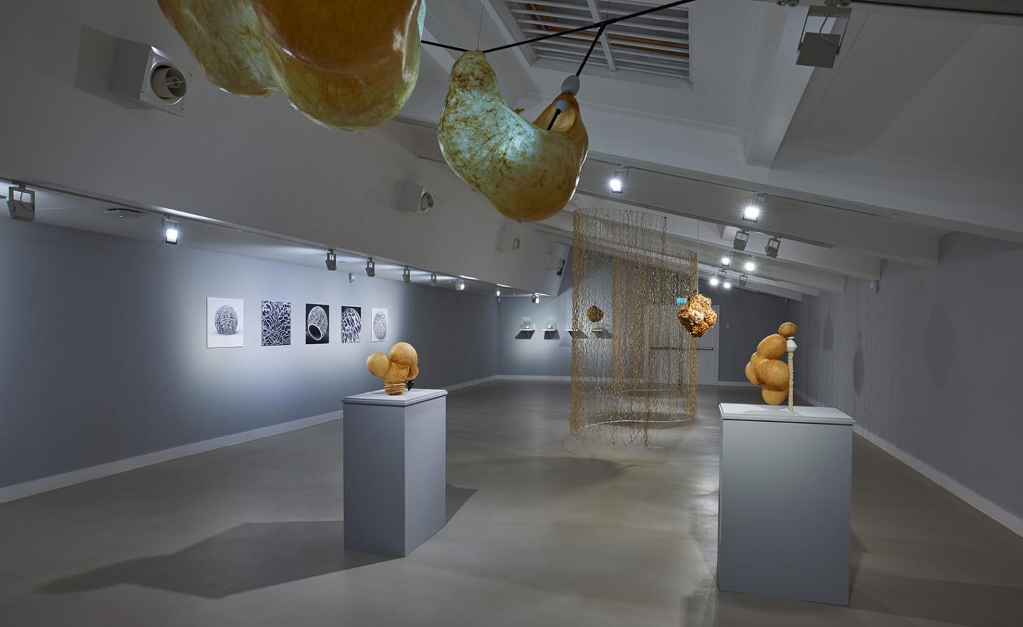 以医学之名,解身体之谜·动物内脏的艺术新生-18