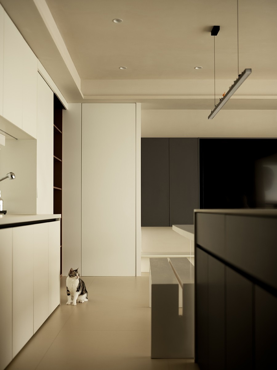 和喵呜一起的奶乎乎的家丨中国昆明丨钟俊峰-41