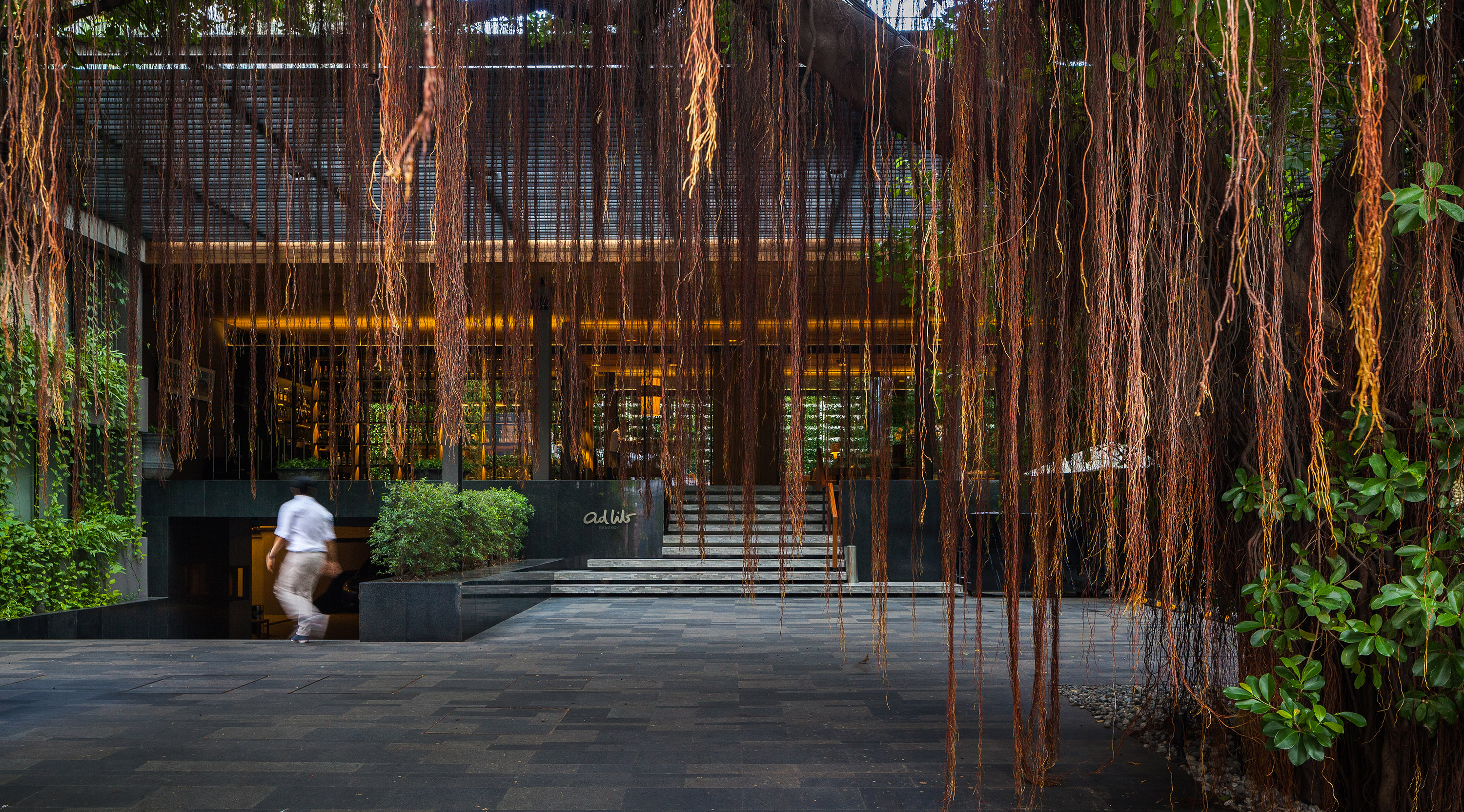 曼谷繁华区的绿色秘境 | 榕树下的 Ad Lib 酒店花园-0
