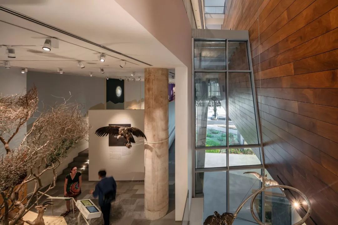 以色列建筑事务所 Kimmel Eshkolot 的杰出设计-47