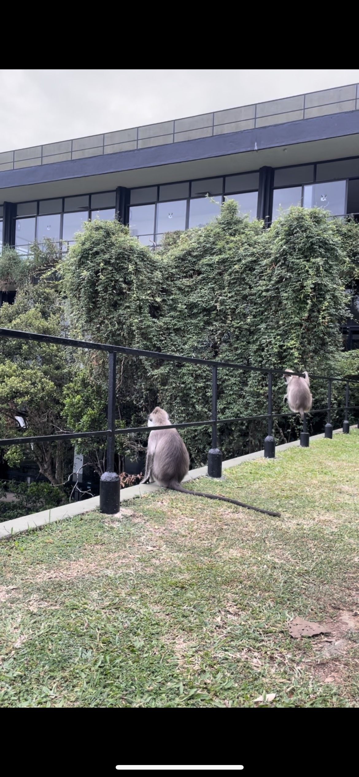 丨斯里兰卡科伦坡丨ジェフリー・バワ-20