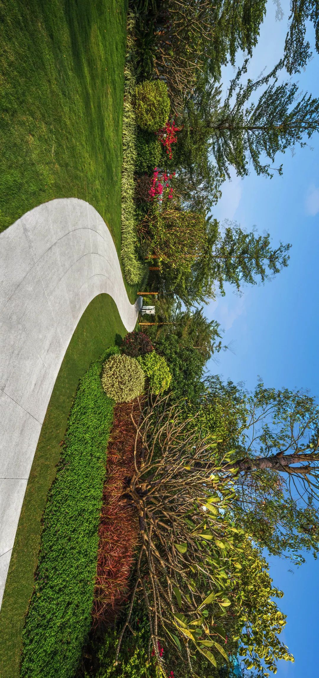 自然的魅力与艺术 | 广州龙湖 · 双珑原著-31