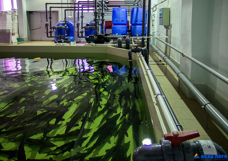 活鱼预销售存放装置安装项目丨Аква Лого инжиниринг（水徽工程公司）-11