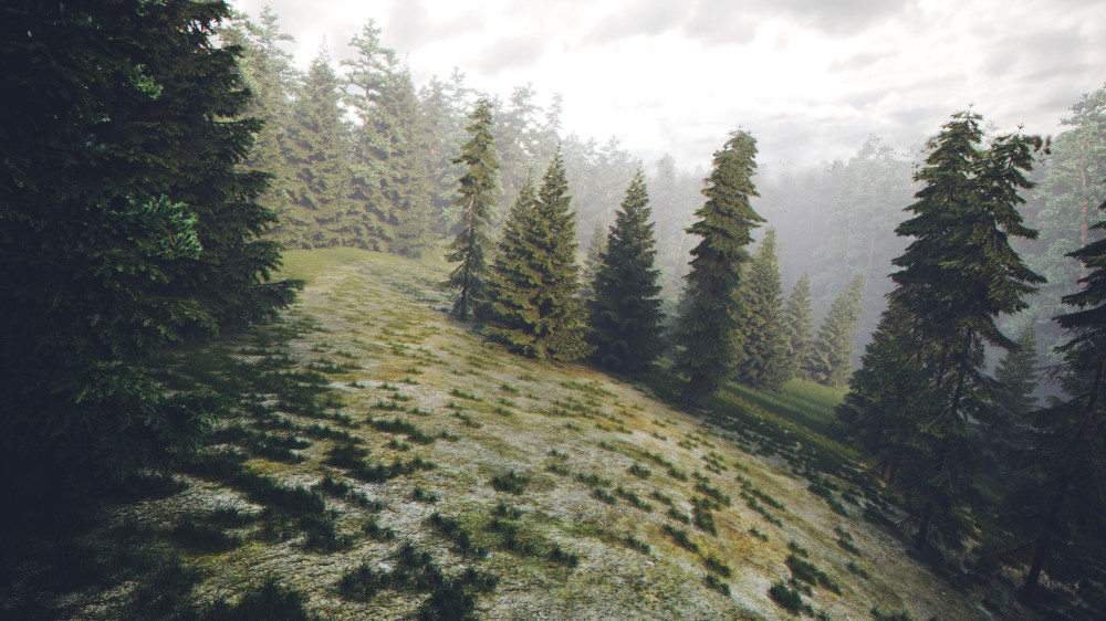 森林深处的素色设计空间-12