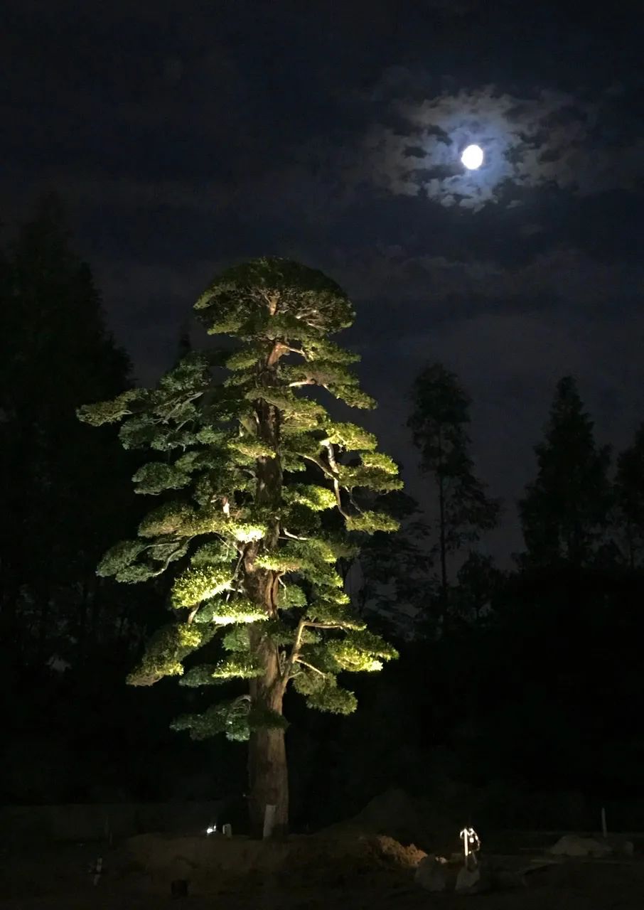 上海都市中的家族庄园 · 依水庄园丨中国上海丨瀚世国际设计-62