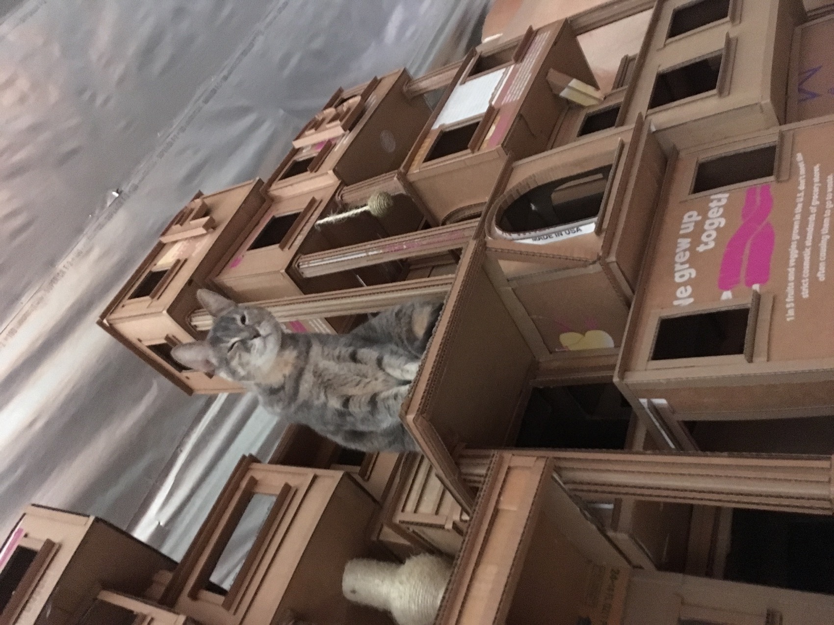 洛杉矶艺术区仓库丨美国洛杉矶丨Psama Design-52