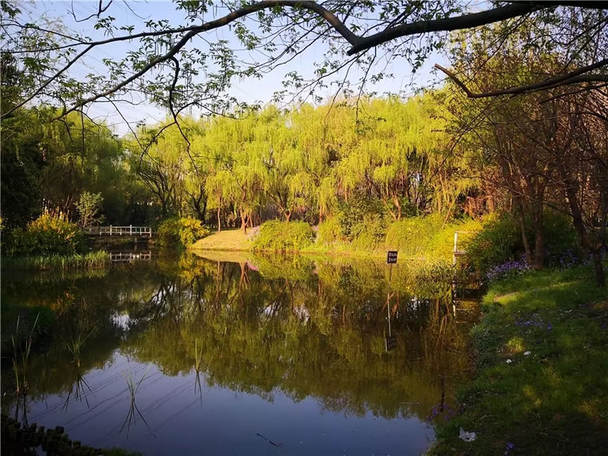 上海市宝山区城市绿色步道-77