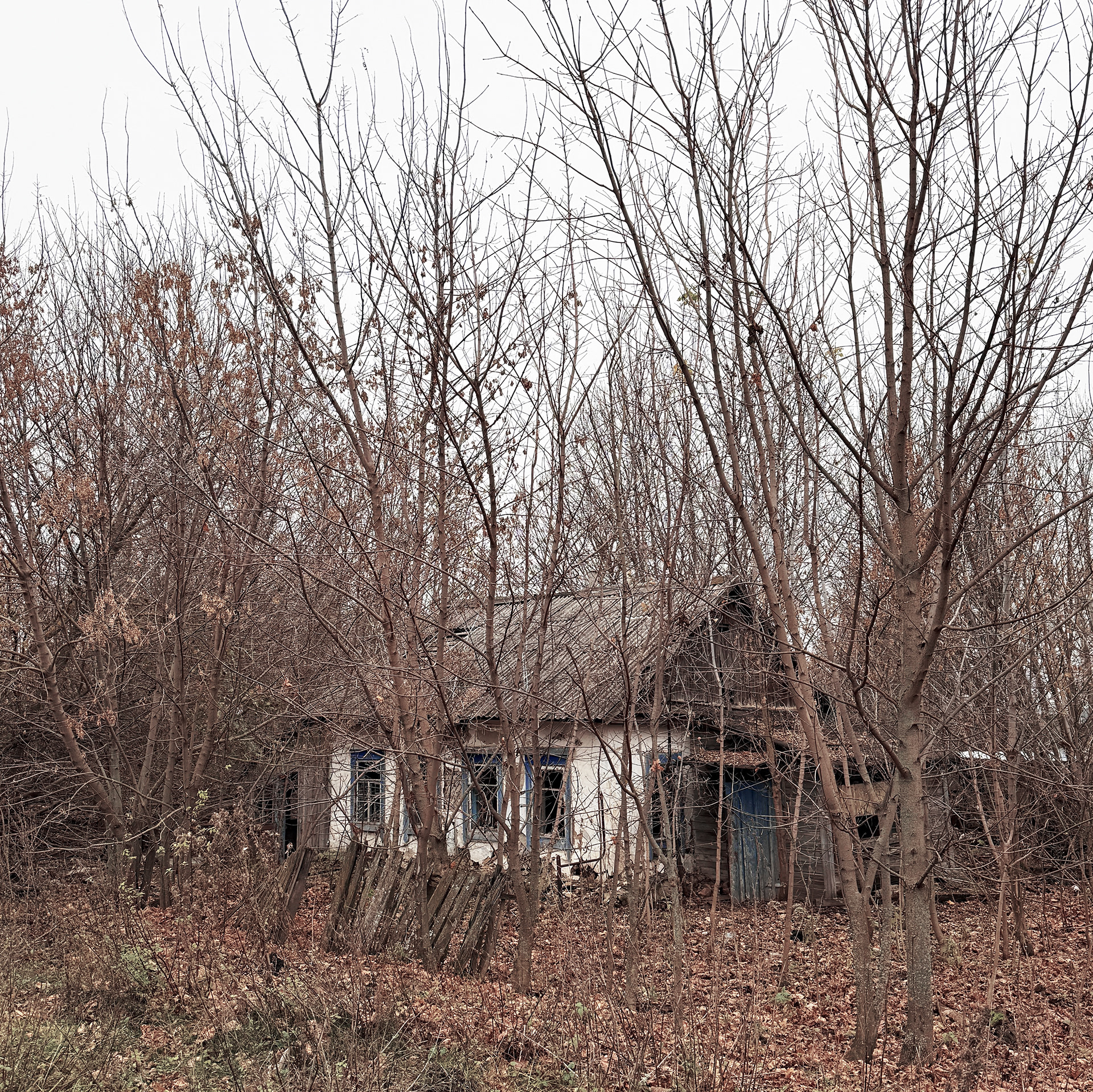 There was life here-4