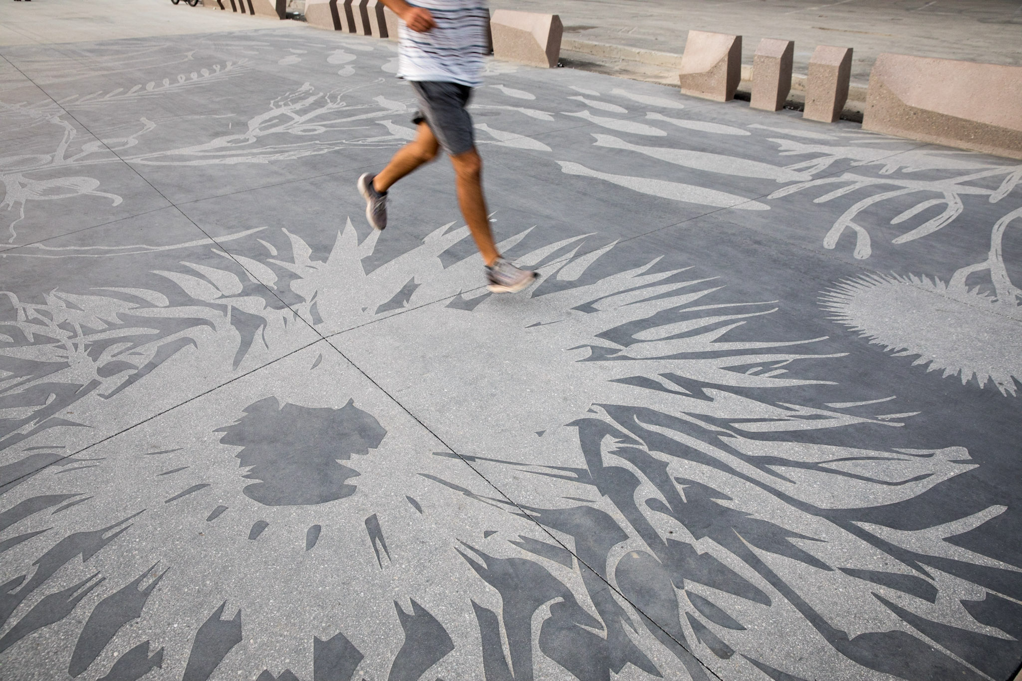 圣莫尼卡北海滩步道改善工程-26