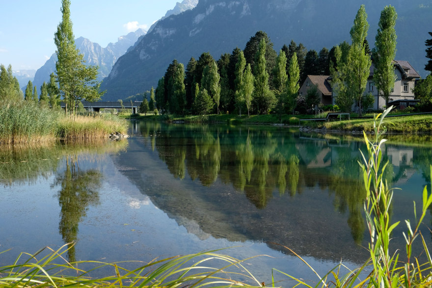 瑞士工厂池塘的绿色重生-22