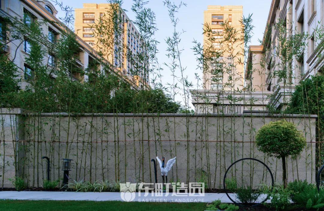 上海 70㎡中式庭院 | 枯山水涟漪映罗汉松-18