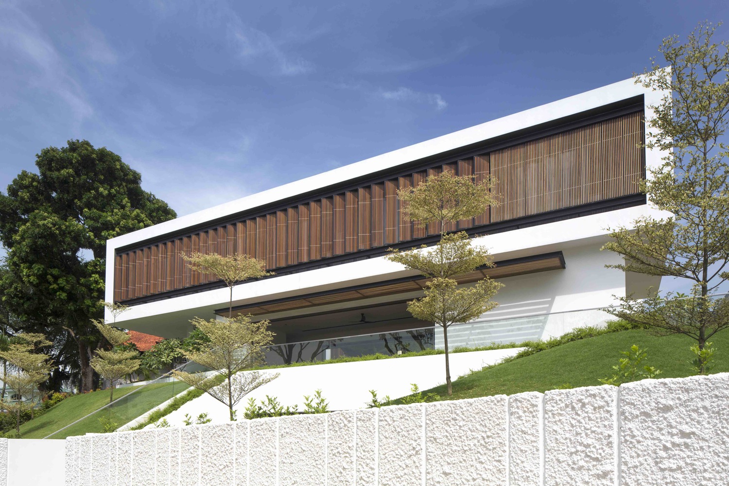 透视屋 · 新加坡绿色走廊中的白墙绿意-48