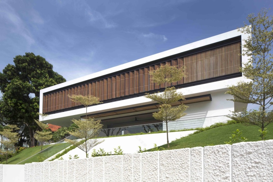 透视屋 · 新加坡绿色走廊中的白墙绿意-48