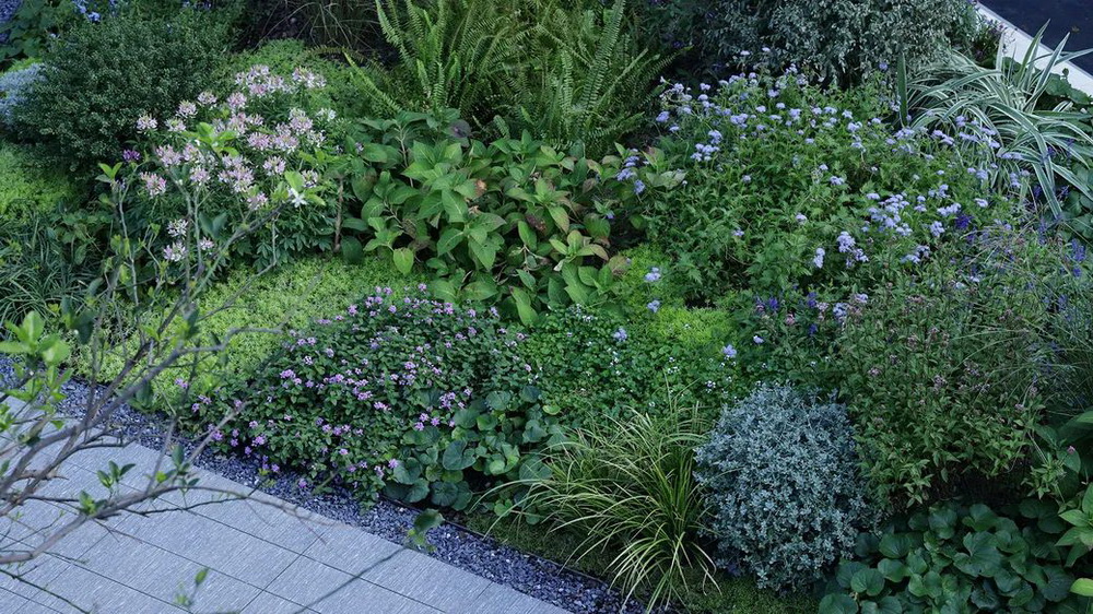 武汉城建中央云城丨中国武汉丨Metrostudio 迈丘设计-67