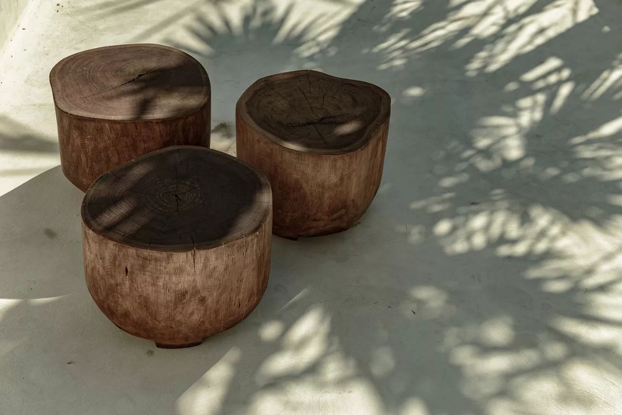 墨西哥淳朴树屋民宿设计-28