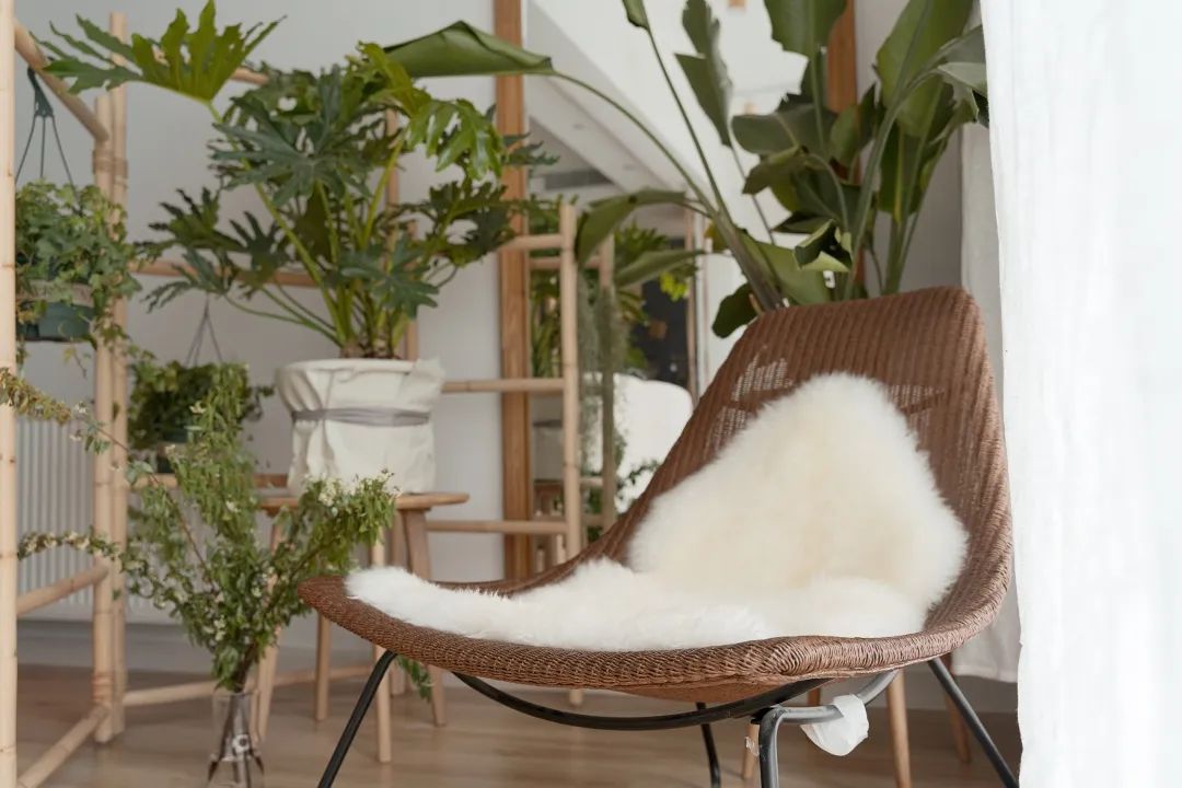 梦幻樱花，浪漫满屋-42