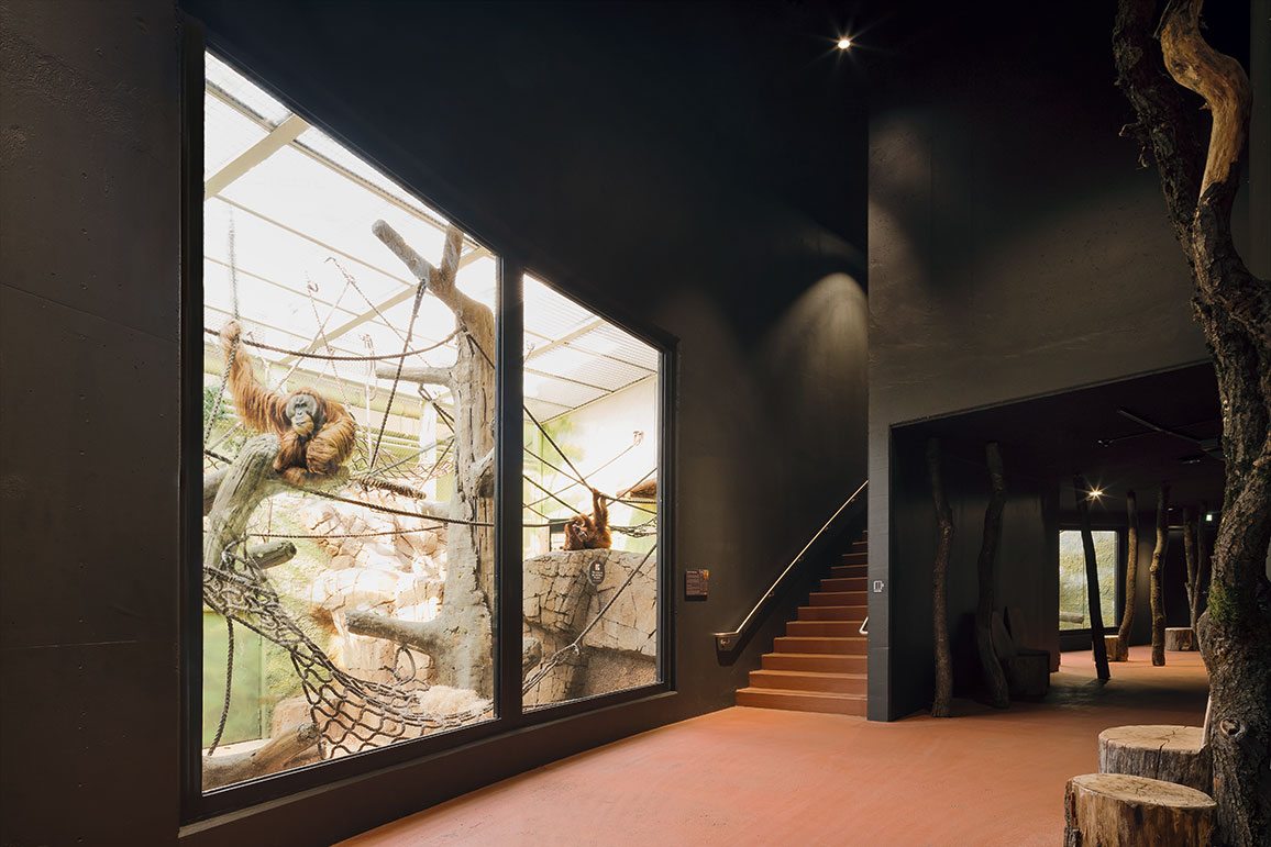 德累斯顿动物园猩猩馆丨德国德累斯顿丨未明确提及室内设计方,合作有Rehwaldt景观建筑师事务所-13
