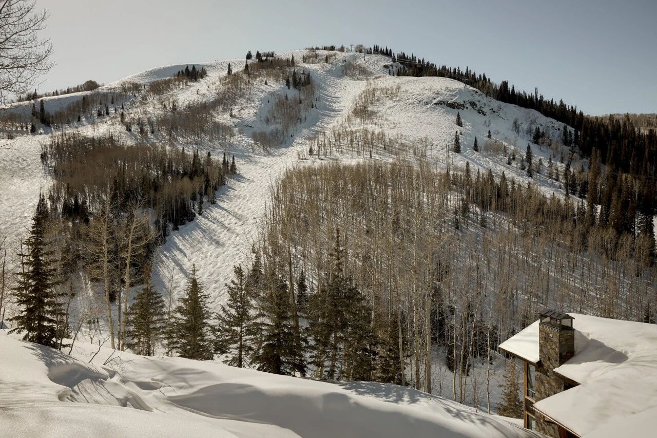 SVK Interior Design高山上的宁静雪屋丨旧金山室内设计师Senalee Kapelevich-3