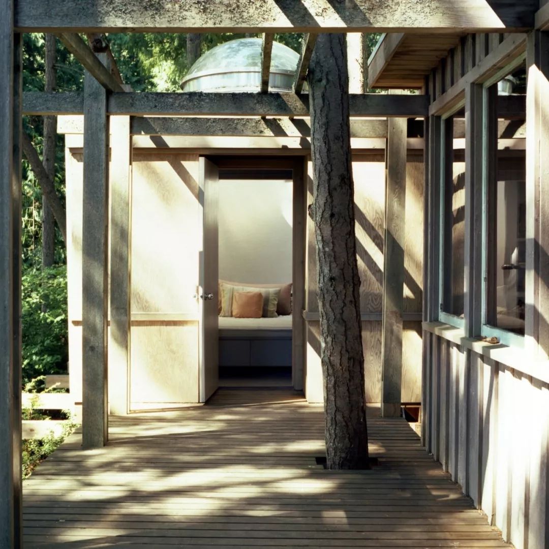 森林中的宁静隐居,对话自然之美-63