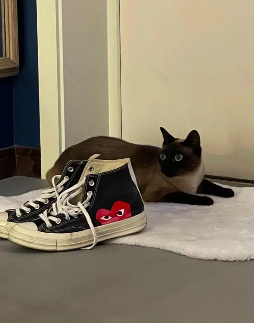 梦幻复古公寓,巧妙改造破解风水难题-34