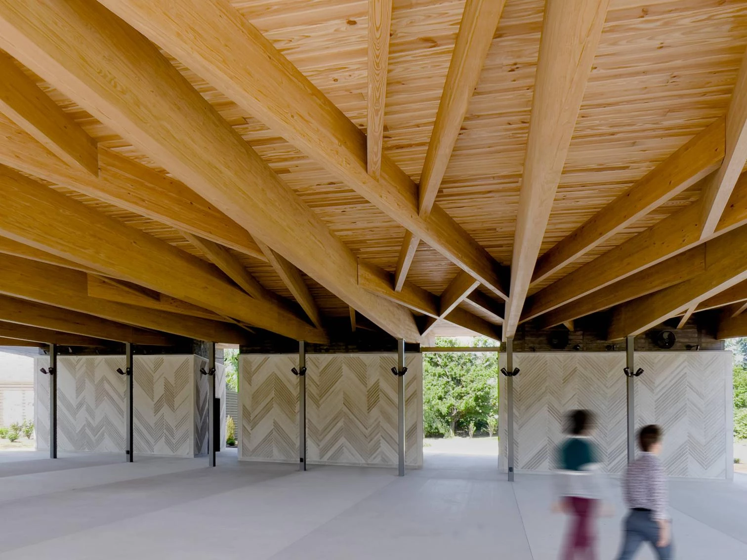 路易斯维尔蝗虫林展馆丨美国路易斯维尔-15