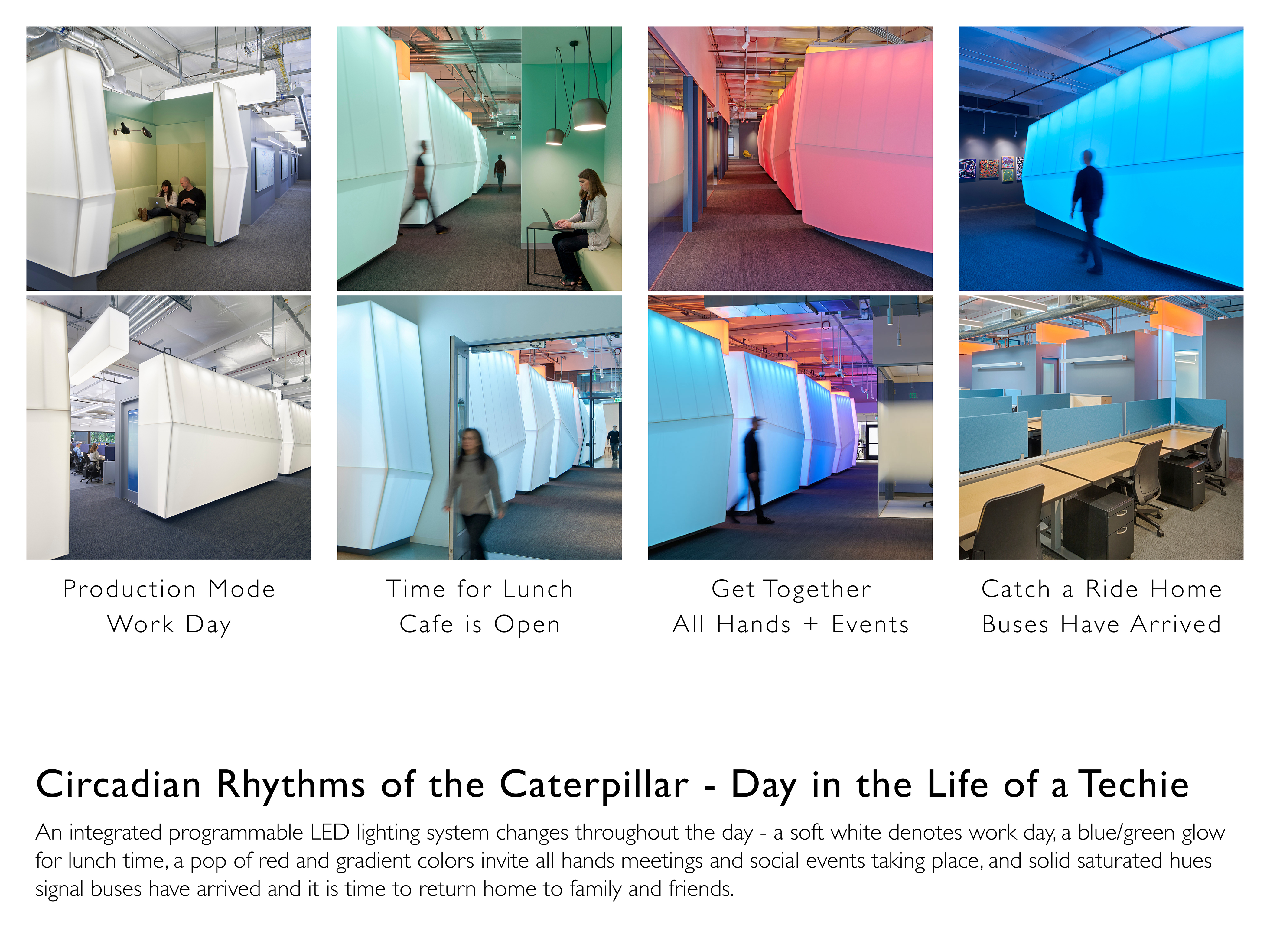 谷歌 Shorebird 校区 | 创意办公空间的绿色革新-63