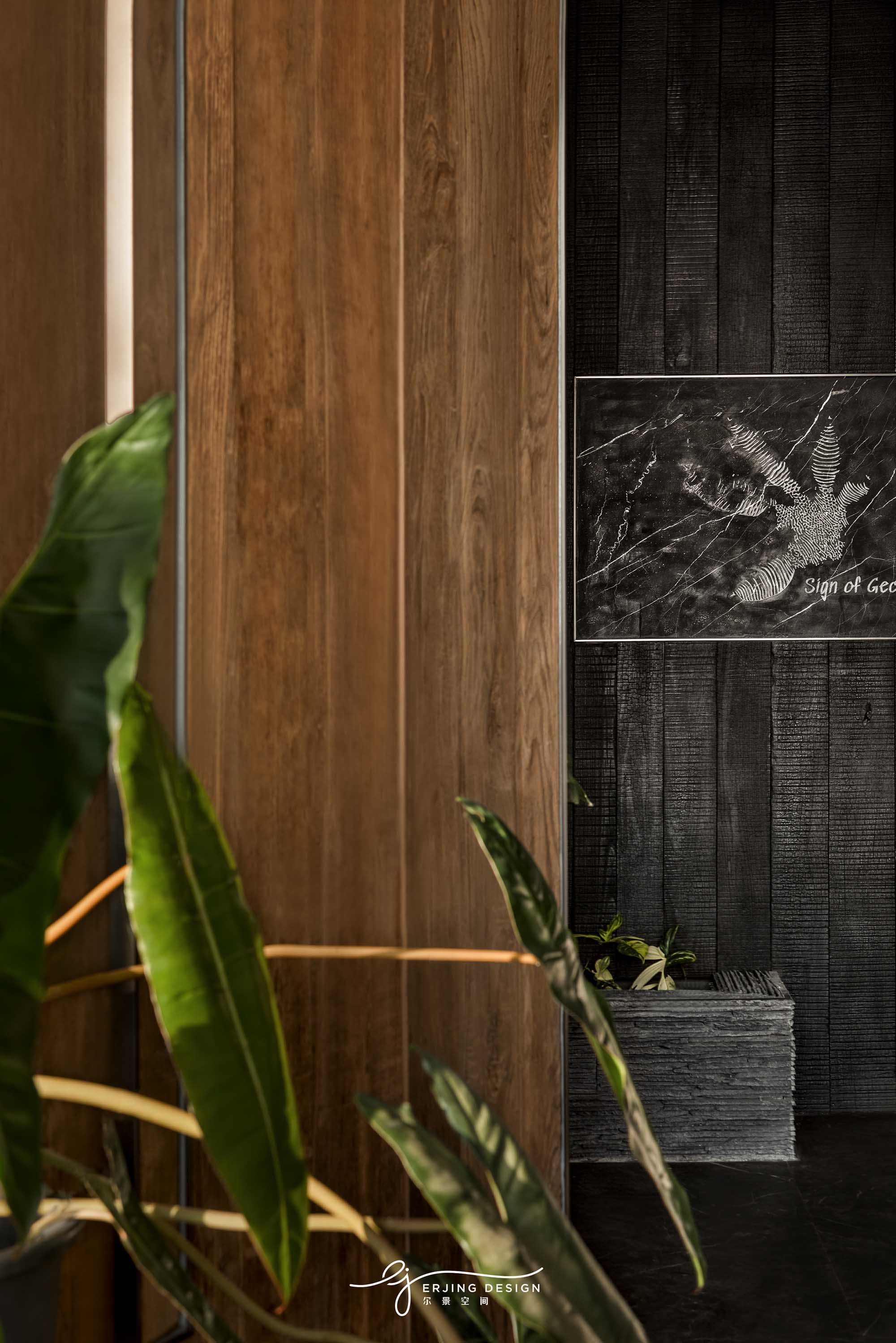 爬宠店·Sign Of Gecko丨中国杭州丨尔景空间设计-19