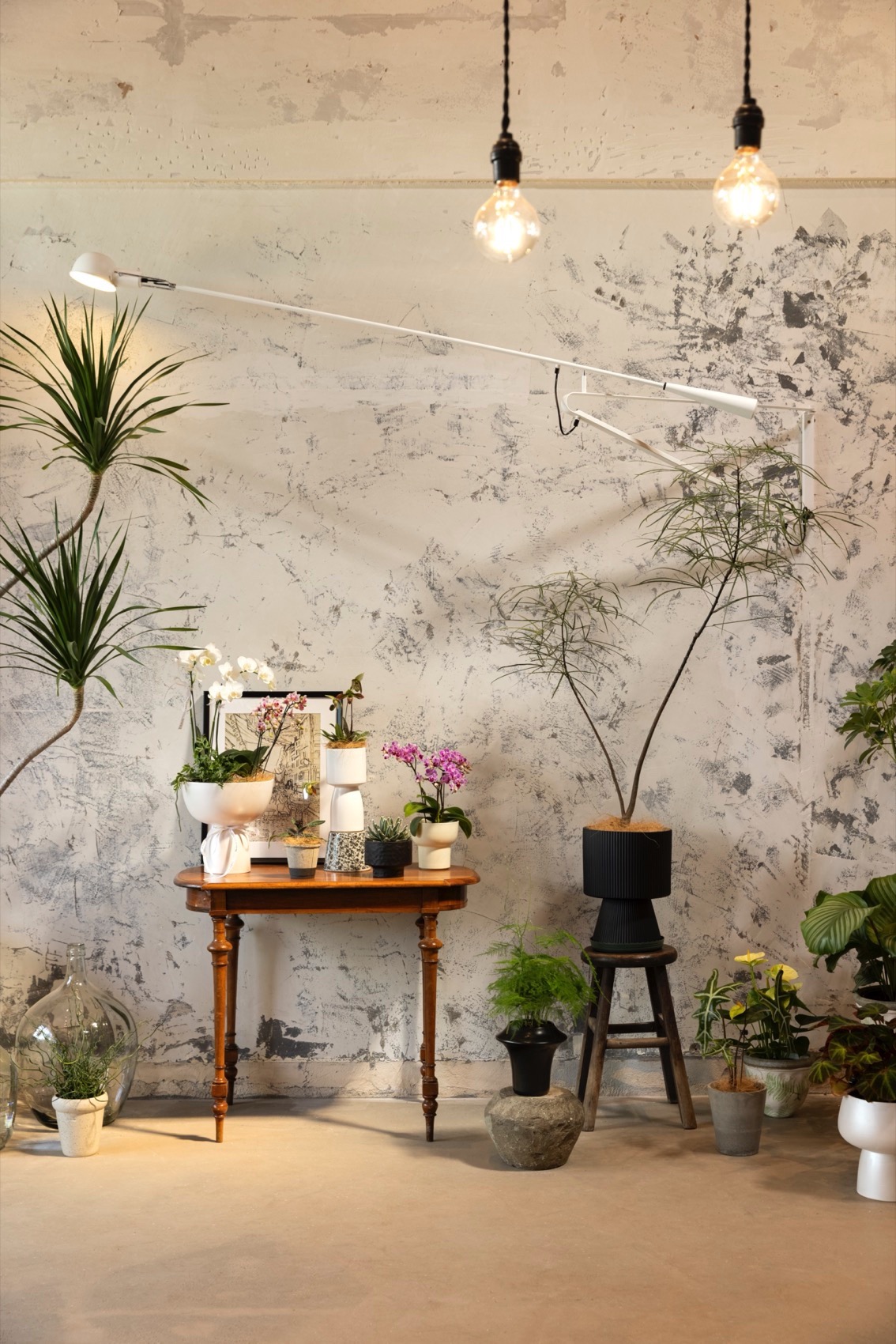 义乌苍仓植物零售空间丨见筑未来-15