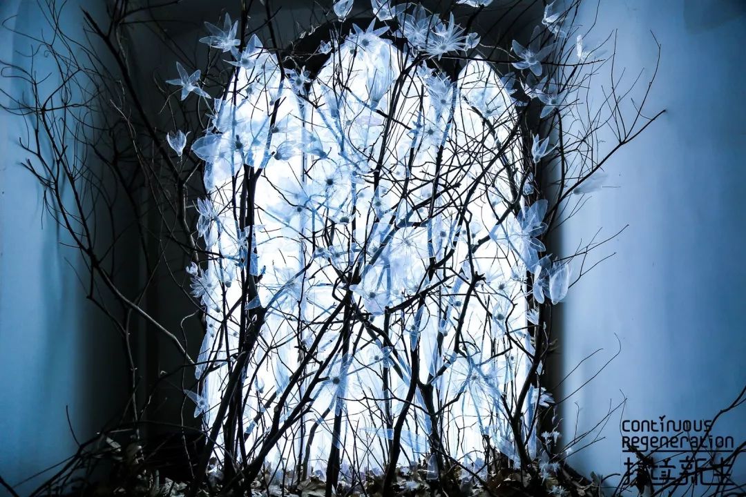 “持续新生”艺术展 | 家居产品的前世今生-10