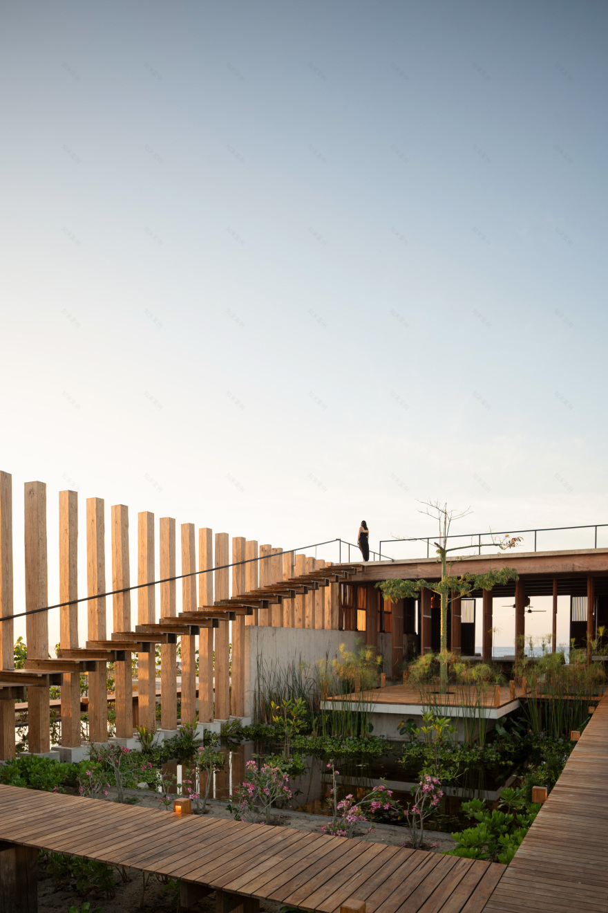 酒店露台丨墨西哥瓦哈卡丨TAC Taller Alberto Calleja-16