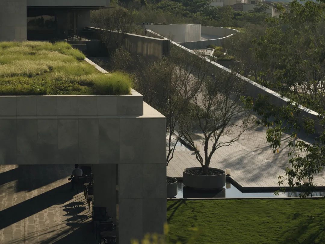 山岚褶皱处的寂静生长|阿那亚三亚景观秘境诗学-119