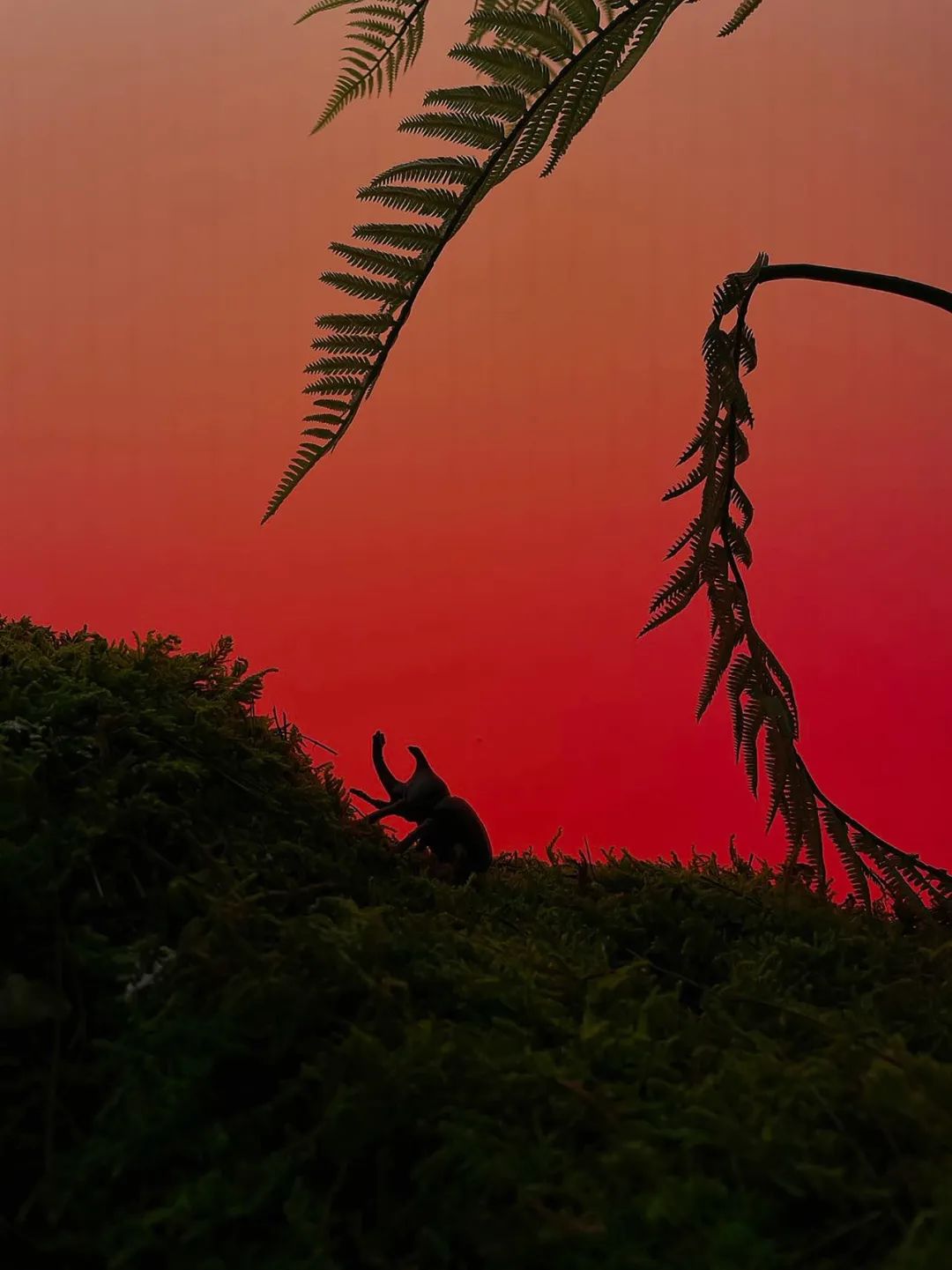 【新作】本立设计 | KAFELAKU COFFEE 在地生长概念店！-68